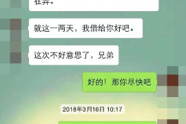 盐田如何避免债务纠纷？专业追讨公司教您应对之策